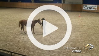 Play video